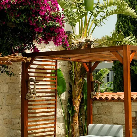 Limonaia Alacati